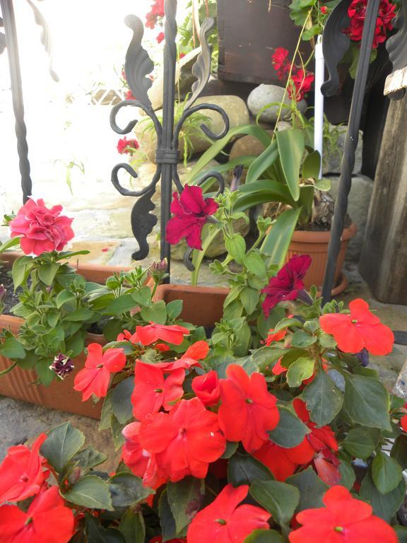 Casa Bertha 호텔 시기쇼아라 외부 사진